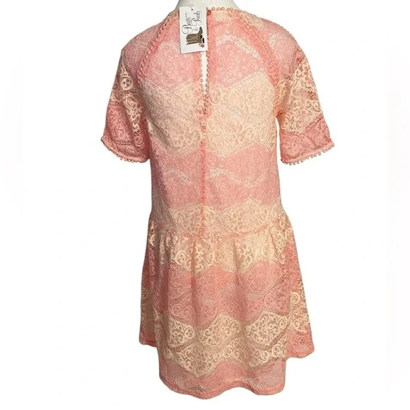 Everly Pink and Cream Lace Mini Dress NWT - Picture 2 of 14